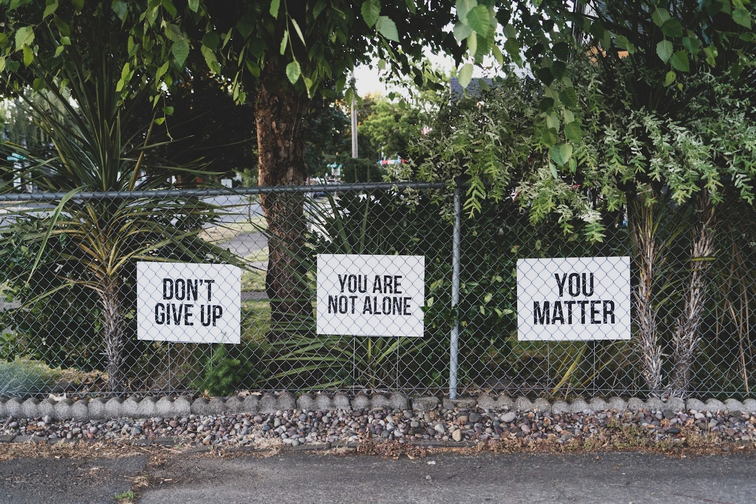 The Untold Stories of Giving Back